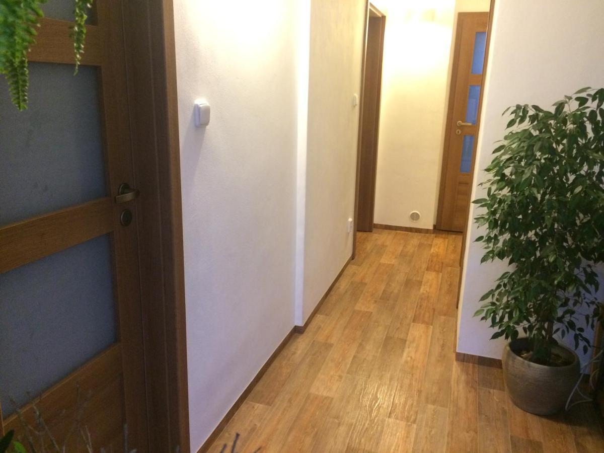 Mamut Privat Garden House Casa vacanze Praga